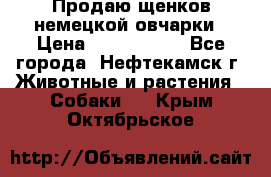 Продаю щенков немецкой овчарки › Цена ­ 5000-6000 - Все города, Нефтекамск г. Животные и растения » Собаки   . Крым,Октябрьское